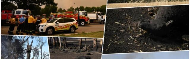 RAZORNI ŠUMSKI POŽARI U AUSTRALIJI, IMA MRTVIH! Izgorelo više od 350.000 hektara, spaljeno 300 objekata, uključujući i kuće, podseća na "CRNO LETO" (FOTO/VIDEO)