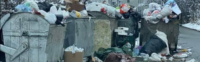 Vlasti Mladenovca mislili da će sneg prekriti smeće (FOTO)