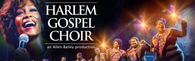 Spektakularan koncert posvećen Vitni Hjuston u MTS dvorani! Evo kada počinje prodaja karata i koliko koštaju