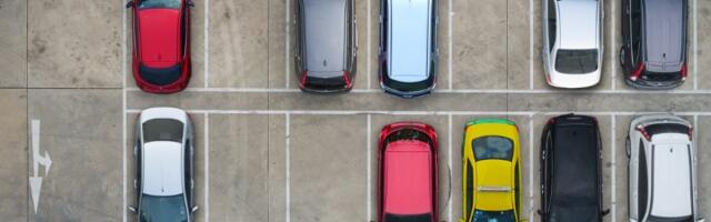 Nasred parkinga bačena svinjska glava i iznutrice (FOTO)