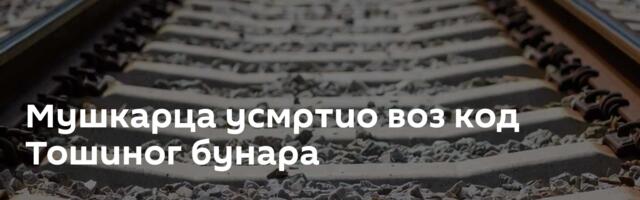 Мушкарца усмртио воз код Тошиног бунара