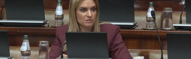 DAJTE DA SE UOZBILJIMO Žestokog odgovor ministarke Đurđević Stamenkovski Novakoviću: Važni su vam bili revanšizam i privatizacija, porodica vam nije bila važna