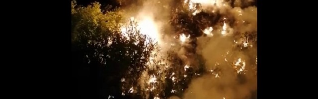 Gori deponija u Kovinu, ministarka se pravi mrtva! (VIDEO)