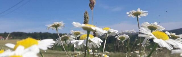 U Srbiji danas promenljivo oblačno, temperatura do 34 stepena