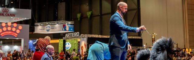 PRIJAVE za spektakularnu izložbu pasa u Areni JOŠ DANAS: Predsednik FCI glavni sudija na Belgrade Winner 2026