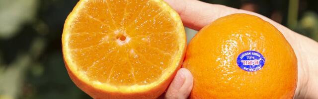 Šta znače brojevi na nalepnicama voća? Ako vidite ove cifre, obavezno ih vratite na policu