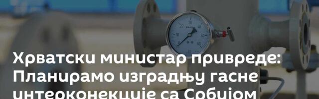 Хрватски министар привреде: Планирамо изградњу гасне интерконекције са Србијом
