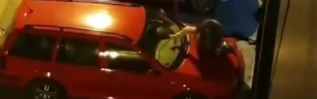 Stanari zgrade u Novom Sadu snimali šta se dešavalo na haubi automobila (VIDEO)