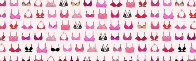 MOŽETE LI DA NAĐETE DONJI VEŠ MEĐU GRUDNJACIMA? Muškarci oduševljeni mozgalicom - Probajte da oborite ovaj rekord!