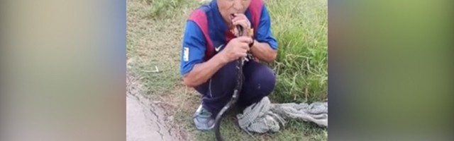 Čovek stavio glavu kobre u usta! (VIDEO)