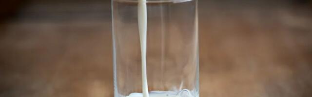 Nivo aflatoksina u mleku: "Uskoro neće biti proizvođača mleka, pa ćemo moći da spuštamo granicu koliko hoćemo"