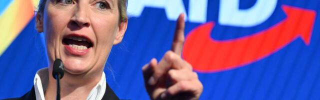 SKANDAL U NEMAČKOJ Liderka AFD napala obaveštajce: "Ljigavi Štazi doušnici..."