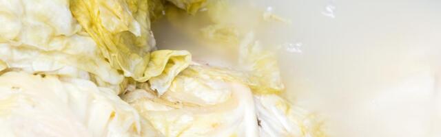 Srbi se kunu u rasol kao najbolji lek za mamurluk, a evo da li je on stvarno koristan ili je to mit