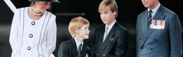 "TO JE UBILO MOJU MAJKU DAJANU! Kad sam shvatio, NAPUSTIO SAM MONARHIJU" Hari je već sa 13 hteo da ODE OD KUĆE!