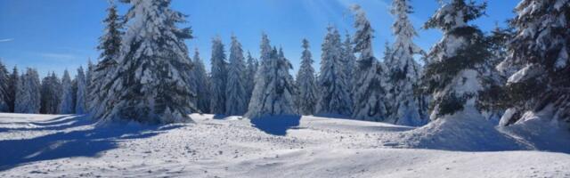 Ni Zlatibor, ni Kopaonik: Srbi pohrlili na ovu planinu - Smeštaj prava bagatela (FOTO)