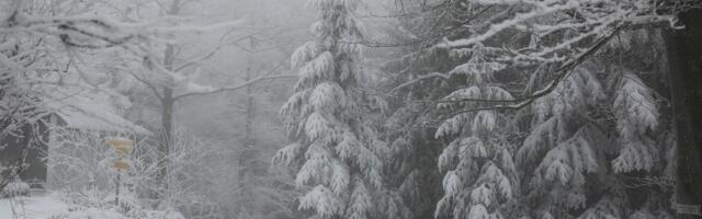 Oblačno i hladnije danas u Srbiji: U Vojvodini kiša, u ostatku zemlje susnežica i sneg