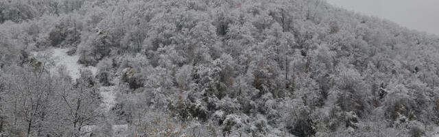 NESTANAK STRUJE U VIŠE SRPSKIH OPŠTINA: Sneg napravio HAOS, drveće PADALO na podvodnike!