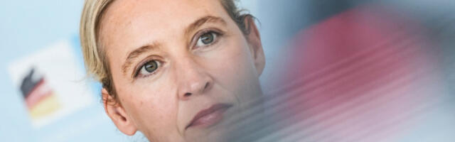 Вајдел: Трамп тражи помоћ јер нема излаз