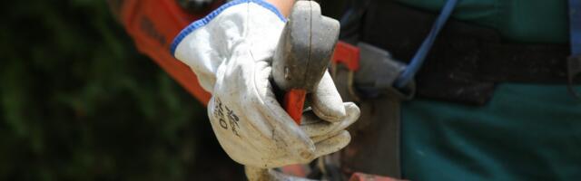 Komunalac kosio travu, pa pronašao 10 ZLATNIH poluga!