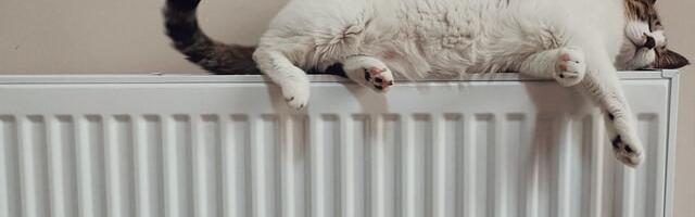 Topli radijatori u Nišu od 15. oktobra. Počinje grejna sezona a sa njom i niske temperature od ponedeljka