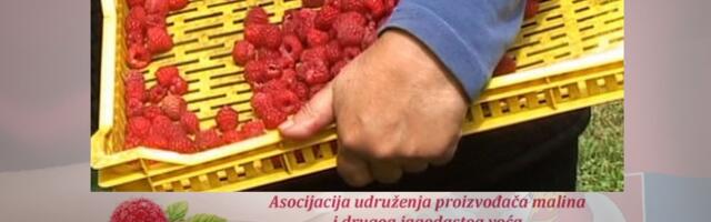 Asocijacija „Malinari Srbije” se ograđuje od pojedinih udruženja