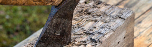 "KRVI JE BILO NA SVE STRANE, CELO SELO JE U ŠOKU" Rođak iz Gradišta ispričao detalje užasnog napada sekirom i kosom na Božić