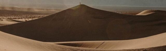 Neverovatne scene u Dolini smrti! Oživela pustinja, ovako nešto nije viđeno hiljadama godina (VIDEO)