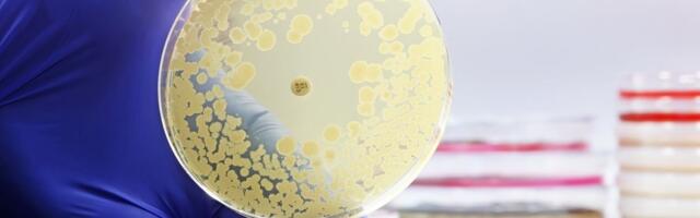 Nedostatak antibiotika ugrožava borbu protiv otpornosti bakterija