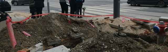 Dušanova Vesićev Skadar na Bojani (VIDEO)