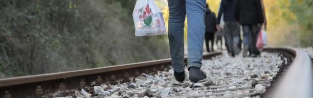 Migranti čine 3,6 odsto svetske populacije