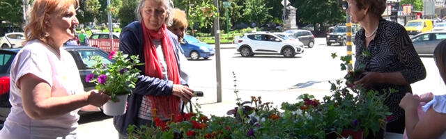 I ovaj cvet život znači (VIDEO)