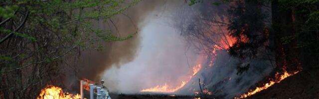 Više od 1.000 vatrogasaca gasi požar u Japanu, hiljade ljudi napustile domove (FOTO)