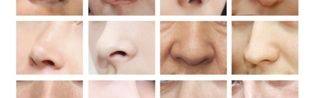 Postoji 12 oblika noseva: Otkrivaju karakter