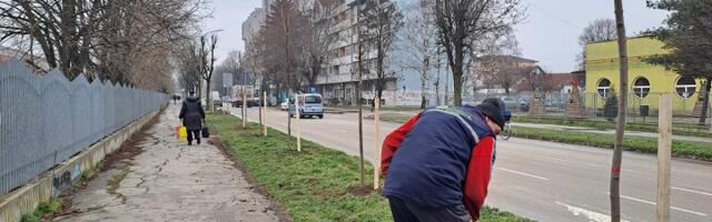 Čačak među gradovima koji će od resornog ministarstva dobiti sredstva za pošumljavanje i ozelenjavanje