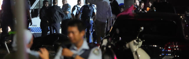 VANESI U MASAKRU NESTALA ĆERKA (3), NAŠLI JE ISPOD POVREĐENE ŽENE: Spasila je, biću joj zahvalna dok sam živa