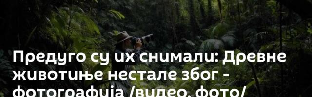 Предуго су их снимали: Древне животиње нестале због - фотографија /видео, фото/