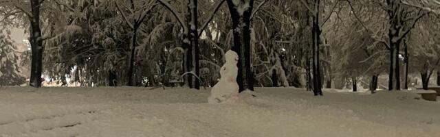 Remek-delo od snega zapanjilo Beograđane: Neverovatna skulptura oduzima dah, ljudi gledaju i ne veruju