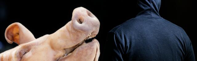 REŠEN SLUČAJ "GRADONAČELNIK I SVINJSKA GLAVA": Uhapšena dva muškarca i to koja! Obojicu ih zna prvi čovek grada