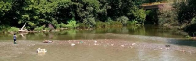Ponovo pomor ribe na ušću Raške – Mještani sumnjaju da Pazarci ispuštaju hemikalije