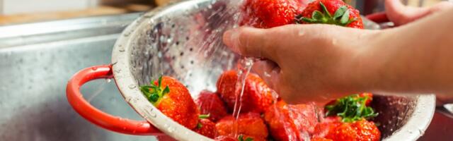 Jagode su među najosetljivijim voćem: Kako ih pravilno prati da uklonite pesticide, bakterije i insekte