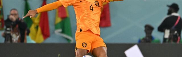 SASTAVI ZA SVETSKO PRVENSTVO - GRUPA F: Holandija, Japan, Švedska i Tunis - evo ko će predstavljati ove reprezentacije!