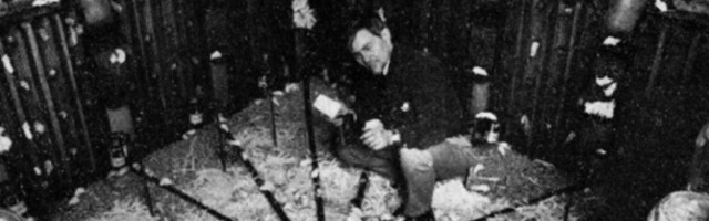 Eksperiment „Univerzum 25“ trajao je 1588 dana, „Mišja utopija“ završila se katastrofom!