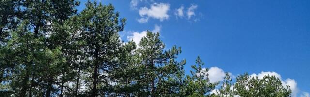 I dalje sunčano i toplo – tropski dani i početkom septembra