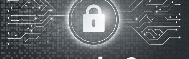 Kako je jedan mali domen otkrio ozbiljnu pretnju za bezbednost na internetu?