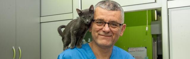 Doktor Damjan Srejić o izazovima u veterinarskoj medicini: Treba naći venu maci od 300 grama!