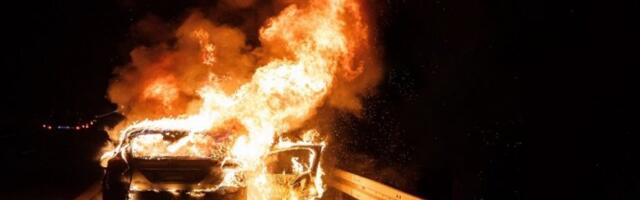 VELIKI POŽAR U BOEGRADU! Izgoreli automobili, ljude probudila ogromna buktinja!