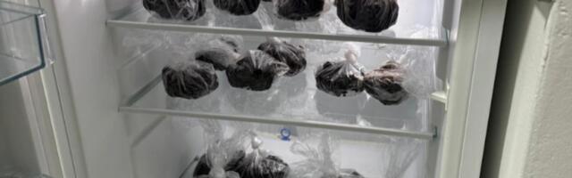 Dileri "poslastičari"! Krili dva kilograma kolača od marihuane: Uhapšeni Novosađani (FOTO)