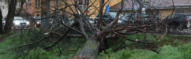 Nezapamćeno nevreme pogodilo Hrvatsku: Orkanski udari vetra napravili haos! (FOTO/VIDEO)