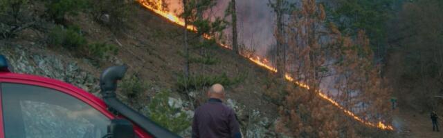 POŽAR KOD UŠĆA POD KOTROLOM