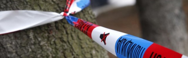 OSTAVILA TROJE DECE I MUŽA, A ONDA JE USLEDIO BIZARNI NAPAD! Detalji šok događaja kod Čačka!